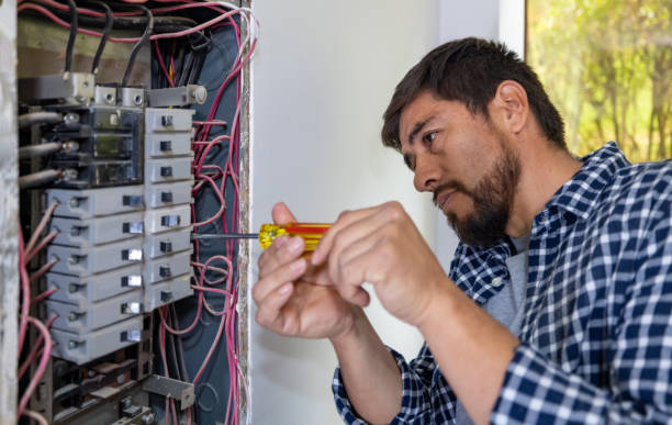 Best Electrical Rewiring Services  in Lewiston, MN